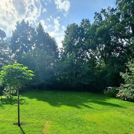Haus Am Waldrand Und In Seenaehe Lehnin Dış mekan fotoğraf